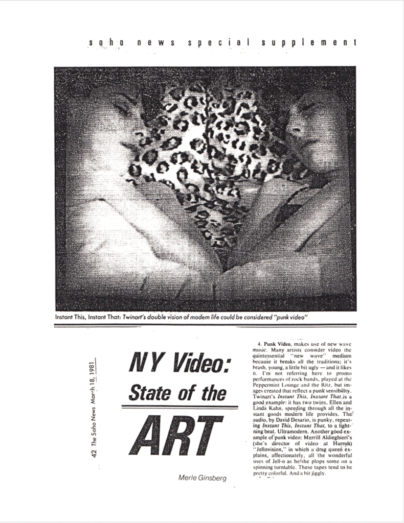 Article about Twin Art