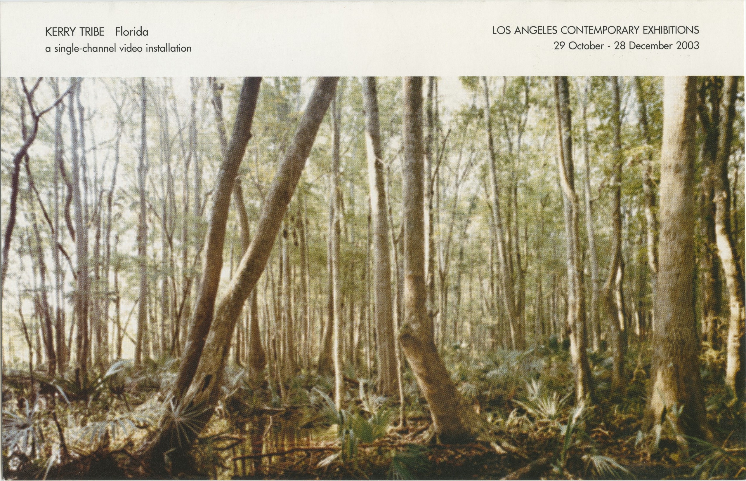 Kerry Tribe Florida flyer