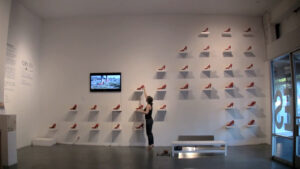 Peep Totter Fly installation image